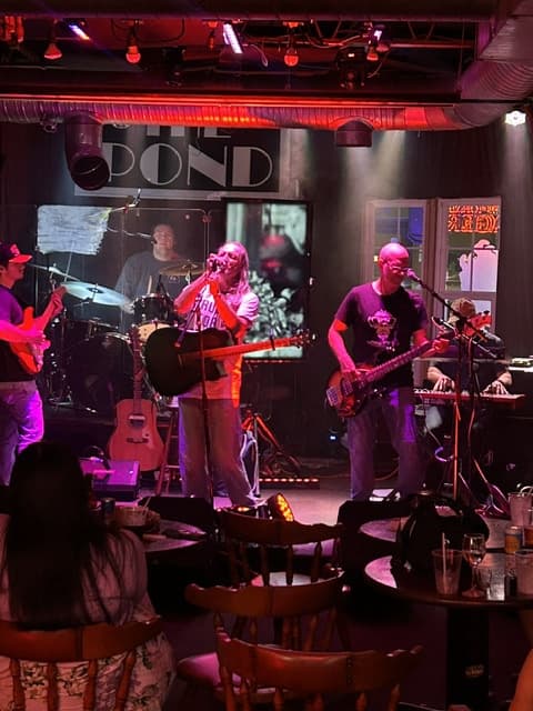 Best Live Music Bar Franklin TN Nights Out